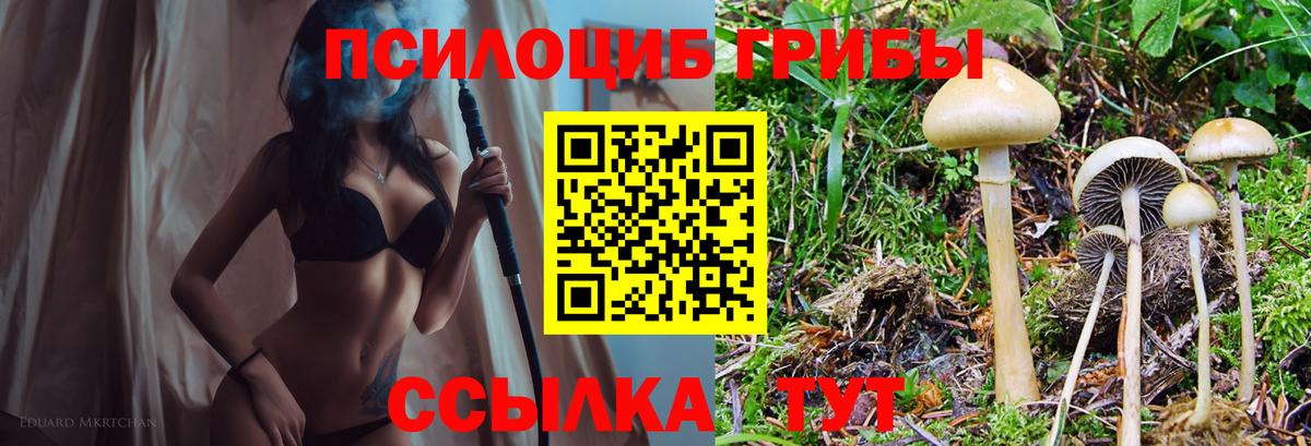 что такое   Вход с VPN  Воткинск  Галлюциногенные грибы прущие грибы 
